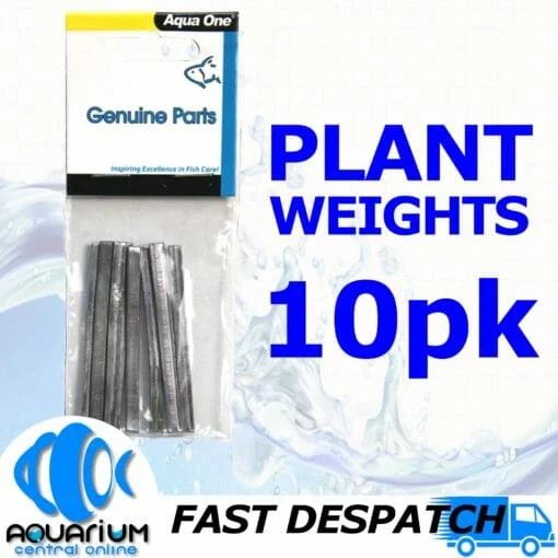 Plant Weight 6cm 10pk