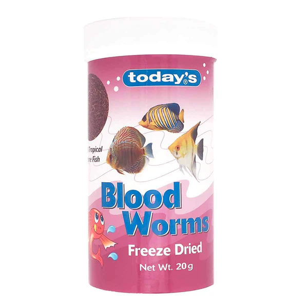 Today’s Bloodworm 20g