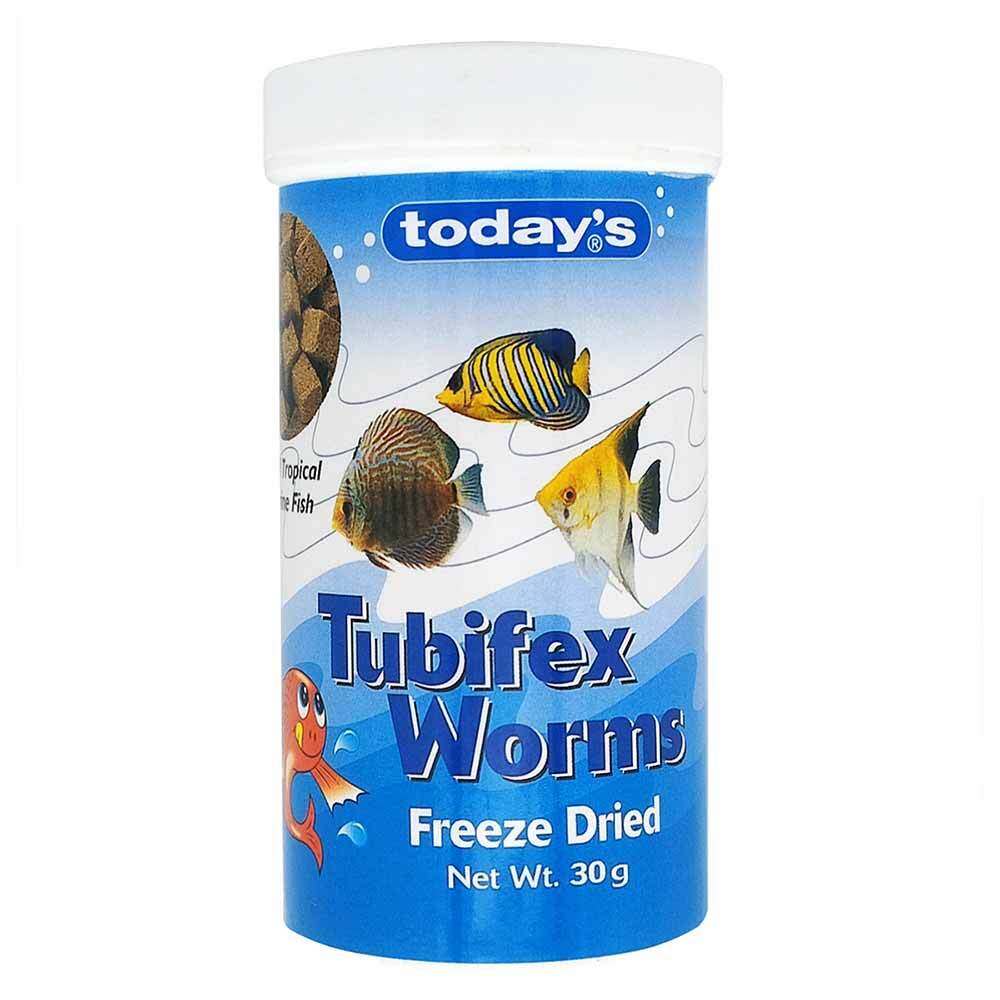 Today’s Tubifex Worms 30g