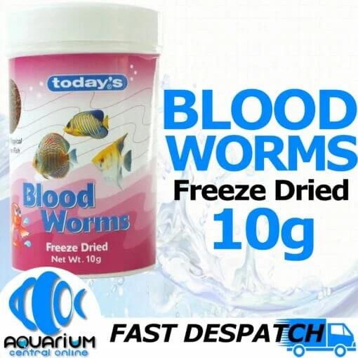 Today’s Bloodworm 10g