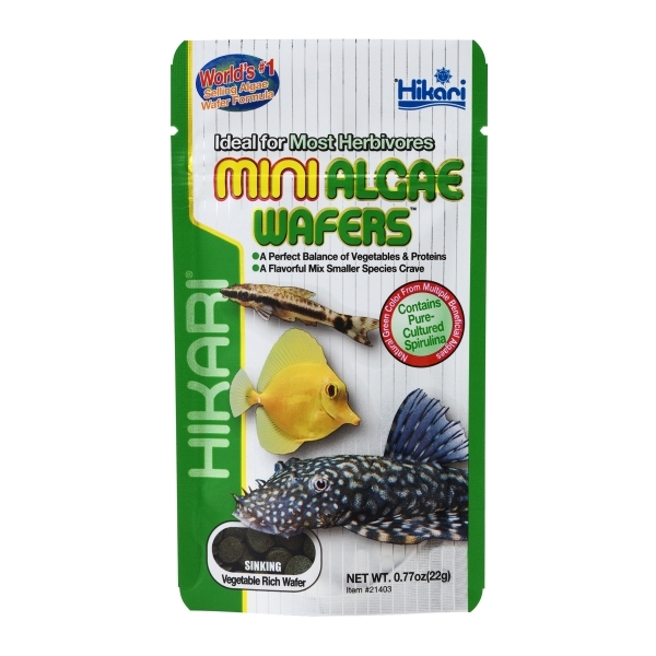 Hikari Mini Algae Wafers – 22g