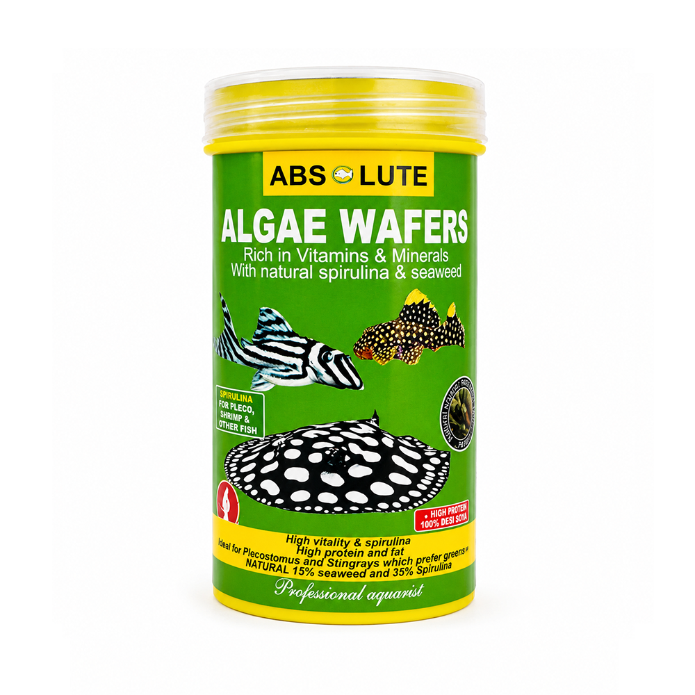 Absolute Algae Wafer 480g - Herbivorous for catfish and other aquatic animals in freshwater aquariums - SKU: AW8048 - - Product Specifications & Highlights Key Features High-Fiber Plant Formula: Supports healthy gastrointestinal function in algae-grazing catfish. Bulk 480g Jar: Long-lasting supply for large tanks or high-stock aquariums. Non-Clouding Formula: High water stability prevents water discolouration and filter clogging. Product Details Brand: Absolute SKU: AW8048 Barcode (GTIN/UPC): 9334141000119 Product Type: Food / Sinking Algae Wafers Net Weight: 480 g Package Dimensions: 140 mm (L) × 140 mm (W) × 160 mm (H) Gross Package Weight: 600 g Target Environment: Freshwater Aquariums