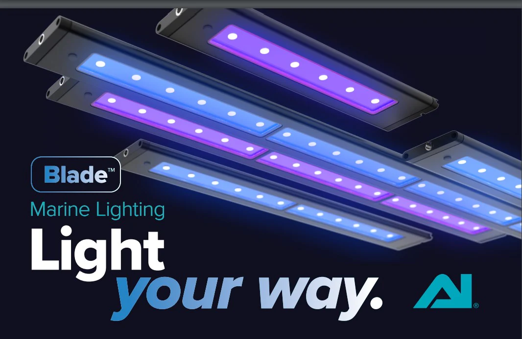 Blade Glow Actinic 48in (122.17cm) 100w