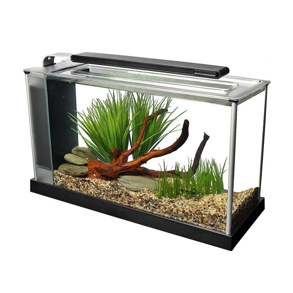 Fluval Spec Aquarium 19ltr Black