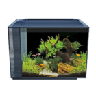 Fluval Spec XV Aquarium Black 60L - (60-litre/16 US gallon Fish Tank with Sleek, etched-glass aluminium trim body) - SKU: SPEC11 - Image 2 - Product Specifications & Highlights Key Features Architectural Etched Glass & Aluminum Trim: Contemporary slim-profile design hides filtration components while maximising viewing area. High-Output 7000K Planted LED: Full-spectrum daylight LED fixture with a sleek aluminium casing to promote plant photosynthesis. Hidden 3-Stage Filter Compartment: Concealed rear filtration tower houses mechanical foam, active carbon, and BIOMAX biological rings. Low-Voltage Power Supply: Energy-efficient lighting and pump system designed for safe, whisper-quiet operation. Product Details Brand: Fluval SKU: SPEC11 Barcode (GTIN/UPC): 0015561105255 Product Type: Freshwater Aquarium / All-In-One Kits Tank Volume: 60 Litres (16 US Gallons) Tank Dimensions: 550 mm (L) × 200 mm (W) × 450 mm (H) Colour Finish: Black Package Dimensions: 682 mm (L) × 407 mm (W) × 506 mm (H) Gross Package Weight: 15,180 g (15.18 kg) Target Environment: Freshwater & Planted Aquariums