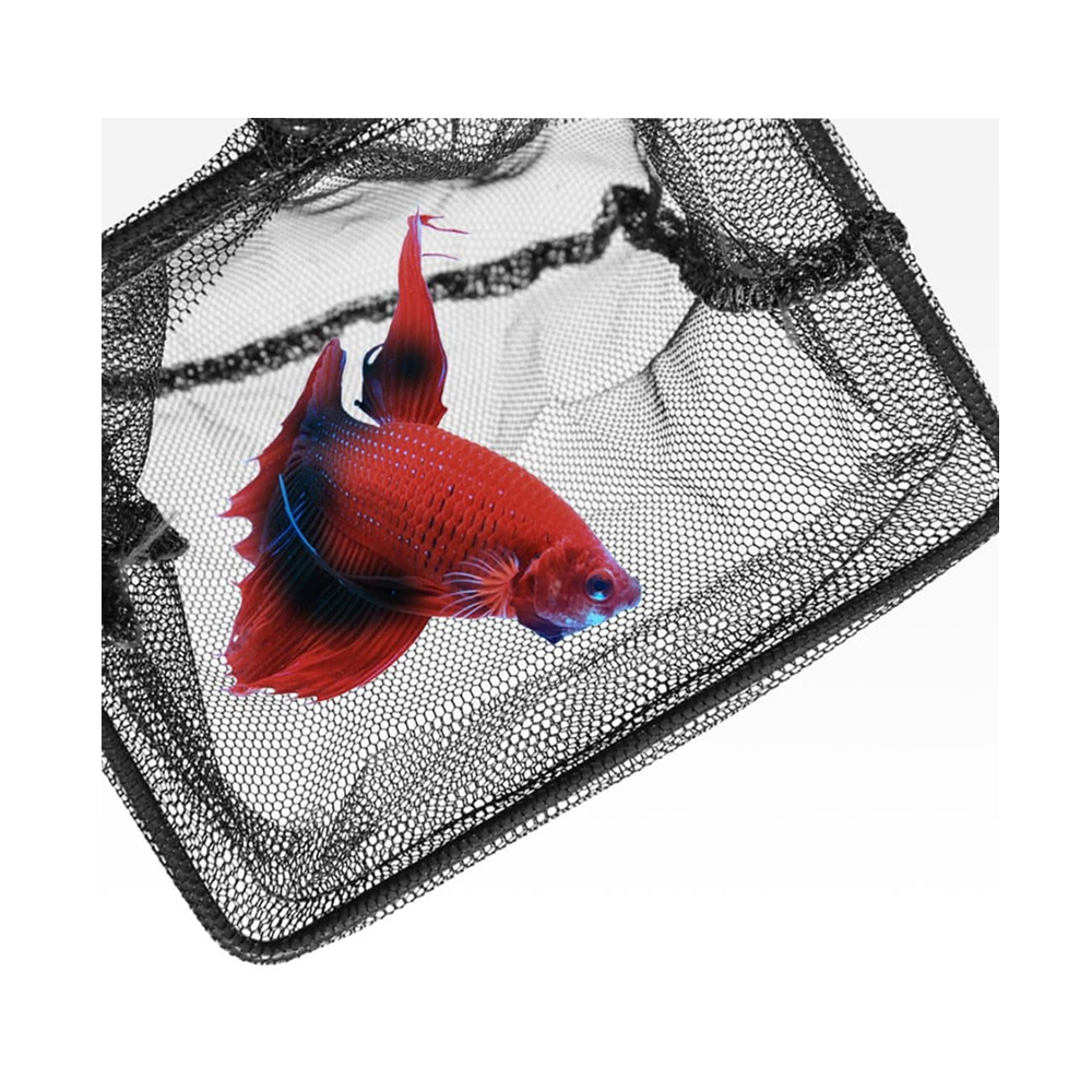 Seachem Fish Net 30cm / 12 inch — Standard-Mesh Landing Net for Large Fish and Deep Aquariums — SKU: 724844-3227 — Image 4 — Product Specifications & Highlights Key Features 30 cm hoop: The widest opening in the Seachem range, for large-bodied and fast fish that outgrow a standard net. Standard mesh: Open weave drains quickly and pulls through the water with less resistance than fine mesh. 12 inch handle: Standard-length handle for everyday reach; Seachem's long-handle nets run 16 inches where more depth is needed. Matched size range: One of eight hoop sizes from 8.5 cm to 30 cm, so nets can be matched to each tank in a fish room. Fine-mesh alternative: The same 30 cm size is available in fine mesh for delicate fins and small species. Product Details Brand: Seachem SKU: 724844-3227 Barcode (GTIN/UPC): 000116032278 Product Type: Aquarium Hardware & Maintenance > Fish Nets Hoop Size: 30 cm (12 inch) Handle Length: 30 cm (12 inch standard handle) Mesh Type: Standard mesh Suitable For: Freshwater and marine aquariums