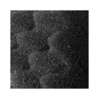 Fluval Bio Foam 306 406 307 407 (2 Pieces) - Thumbnail Image 2