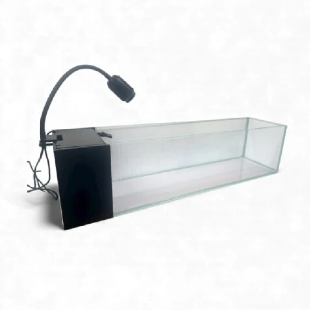Riverina tank 1220x360x360 10mm thick, lamp, pump (1) Absolute Riverina Opti-Clear Glass Aquarium Kit 122cm (158L) - 1220x360x360 - 10mm thick fish tank with pump & led lamp - SKU: RN150 | Product Specifications & Highlights Key Features 10mm Opti-Clear Glass: High-purity, low-iron glass panels joined with clear silicone for maximum optical clarity. Integrated Filtration Box: Built-in side compartment neatly conceals mechanical and biological media for a clutter-free display. Complete System: Comes equipped with a matched circulation pump and LED aquarium lighting. Long Footprint Design: Generous 122cm length provides extensive horizontal viewing area for schooling fish and aquascaping. Product Details Brand: Absolute SKU: RN150 Product Type: Aquarium / Complete Glass Tank Kit Tank Dimensions: 1220 mm (L) × 360mm (W) × 360 mm (H) Glass Thickness: 10mm Volume Capacity: Approx. 158 Litres Included Components: Opti-Clear Glass Tank, Built-in Side Filter Compartment, Return Pump, LED Light Shipping Package Dimensions: 1342 mm (L) × 396mm(W) × 506mm(H) Gross Package Weight: 74,800 g (74.8 kg) Target Environment: Freshwater & Planted Aquariums